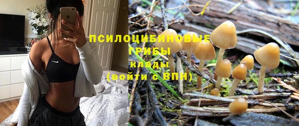 Альфа ПВП Верея