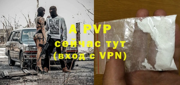 Альфа ПВП Верея