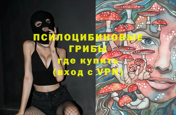 гидропоника Бугульма